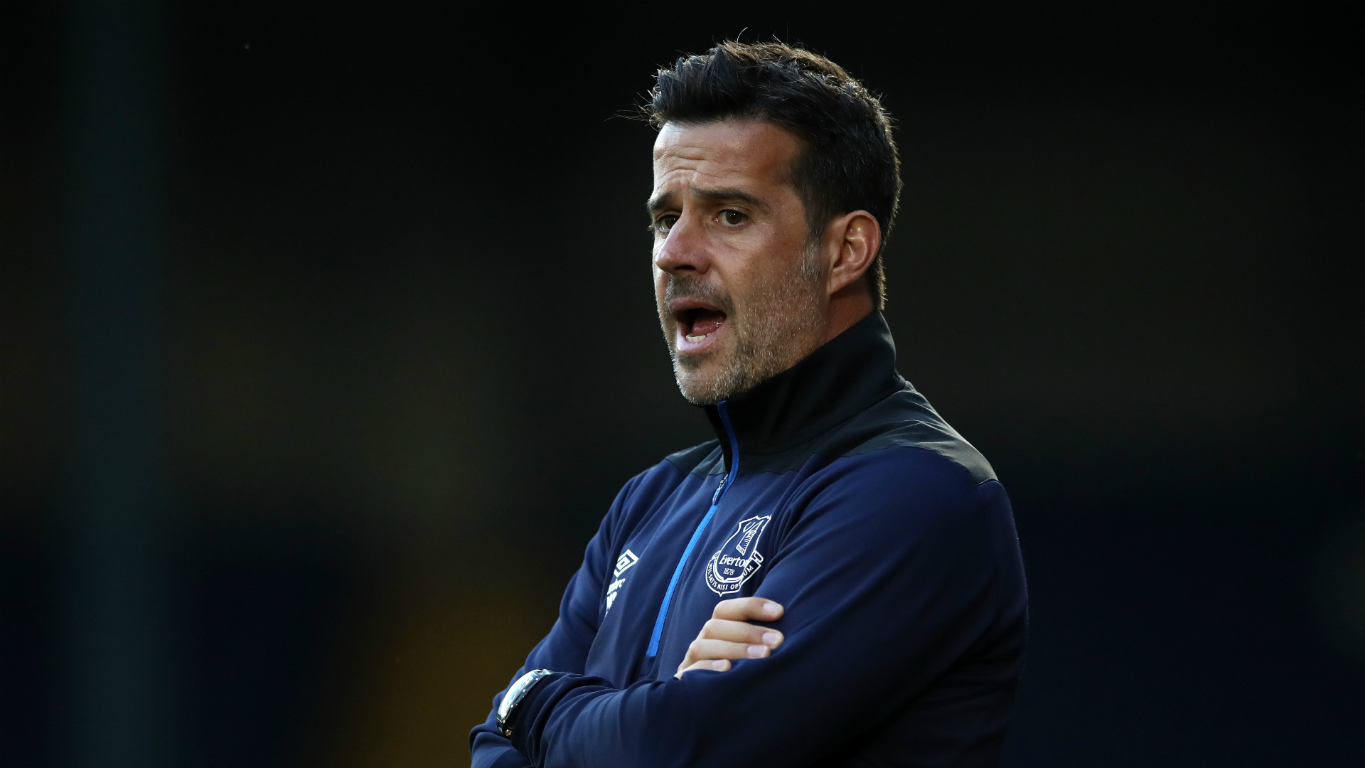 证明了他们 证明了他们